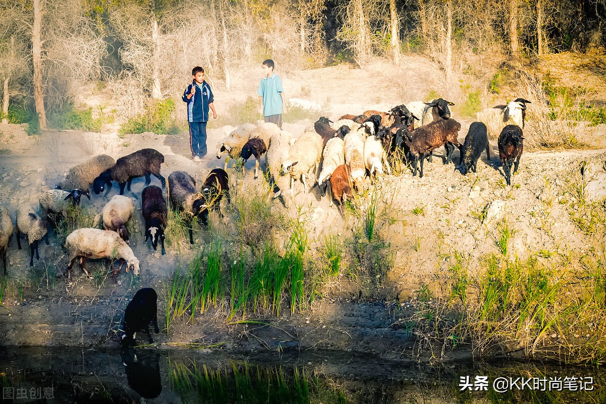 藏族64岁大妈杨华珍，一根绣花针，800万签约奢侈品牌爱马仕