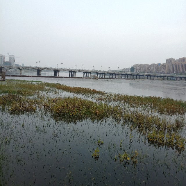 关于盆腔积液治疗,关于盆景的销售