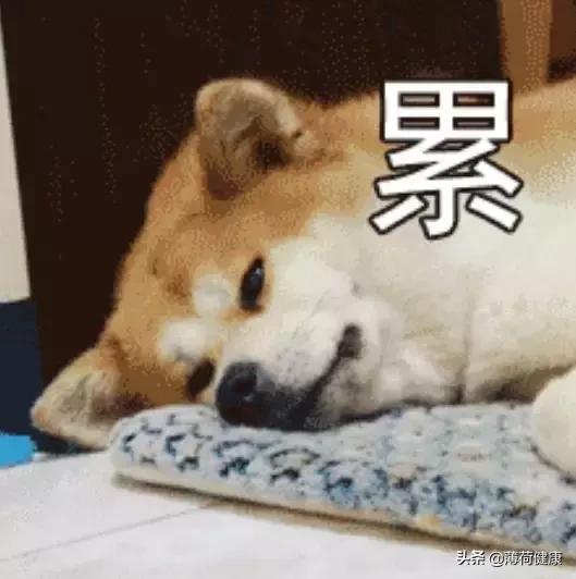 快速入睡黑科技：这8个小技巧，专治睡不着，学会就能10秒睡着