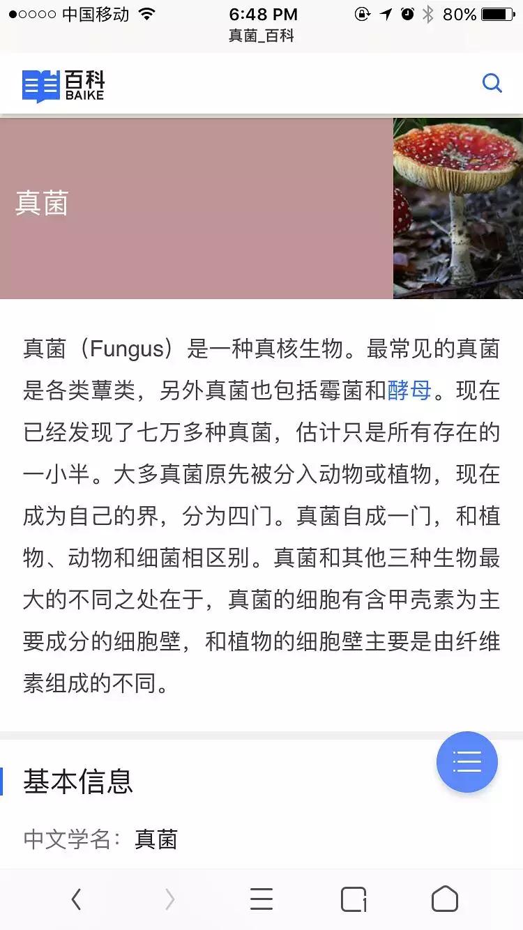 猫咪得了猫癣用什么进行环境消毒,猫咪得猫癣了家里怎么清理