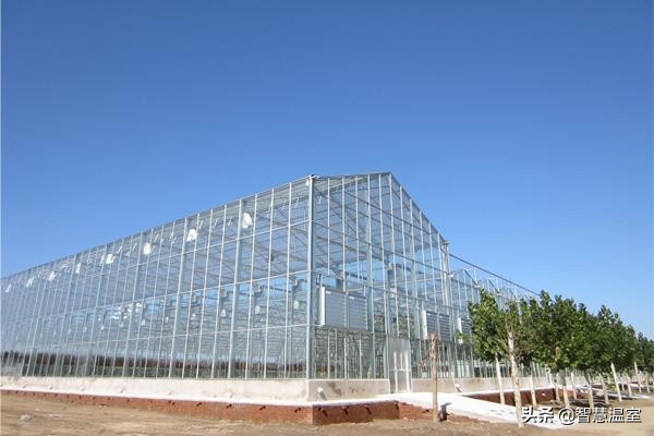 盘点温室大棚的优缺点,看看哪个类型适合你