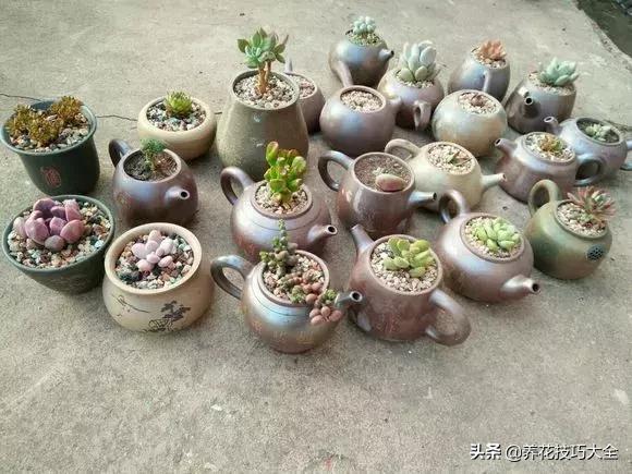 花盆5元一个,花盆不用花钱买