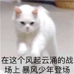 小米手机有分身功能都有哪些型号,小米支持分身的手机