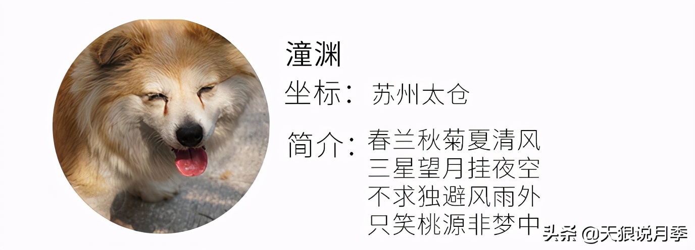 不用再羡慕别人家的院子,庭院养护全攻略