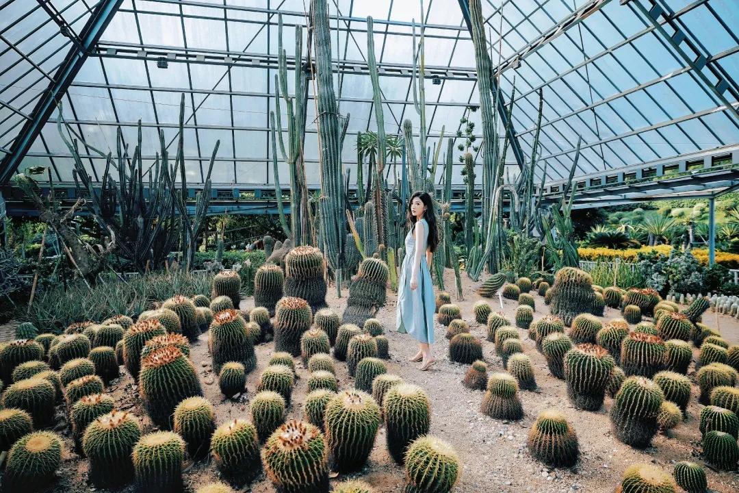 东南花都花博园全新升级鹿岛公园,东南花都花博园导览图