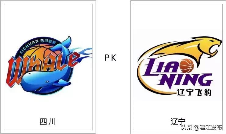 四川男篮cba2024赛季,四川男篮cba赛场