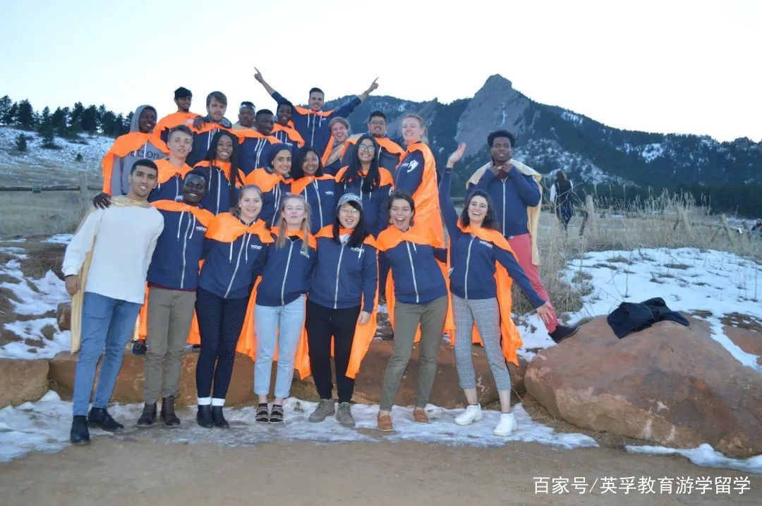 数字游民的旅居生活,数字游民都做哪些工作