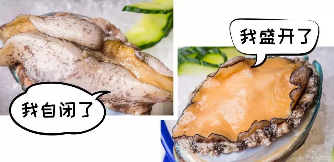 曝光魔都这家“Lamer火锅”，锅底免费送，鲍鱼不要钱！