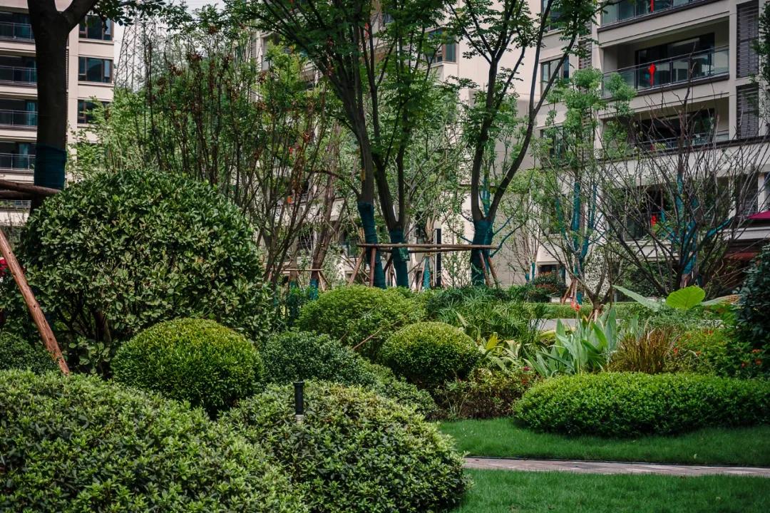 万科金开悦府,万科金开悦府高压线