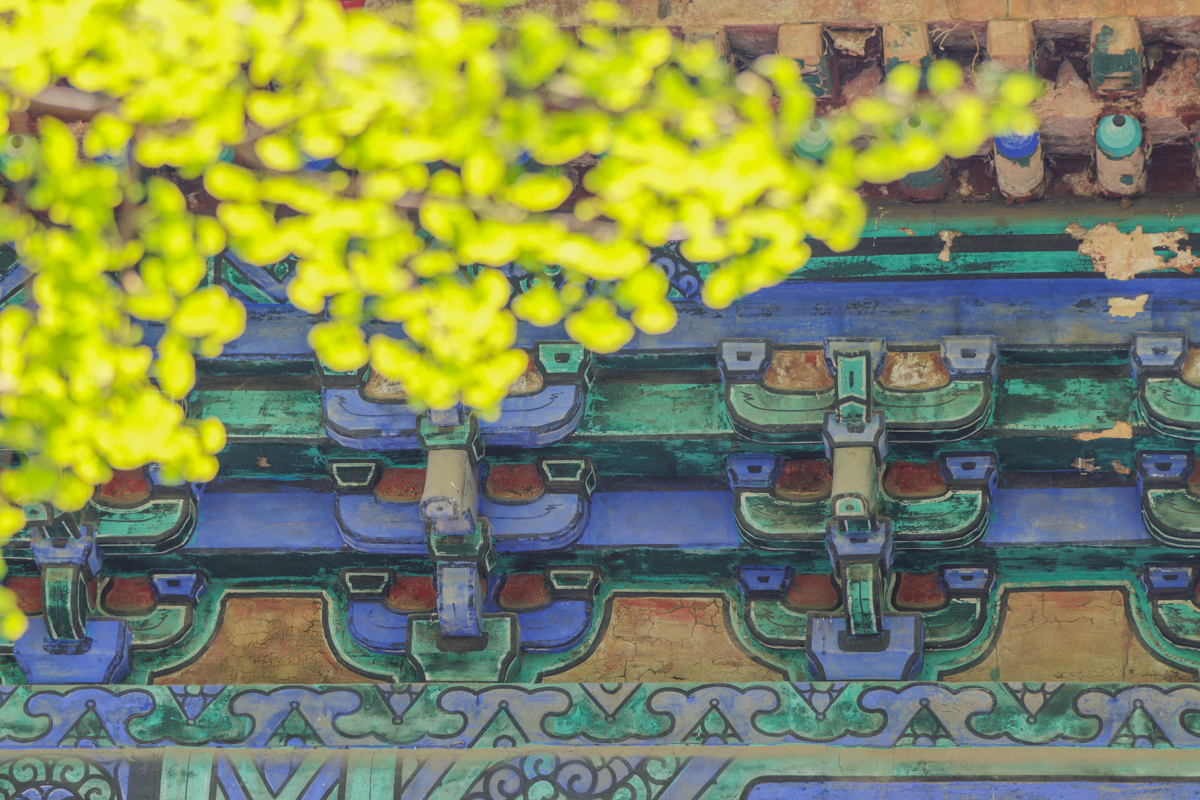 佳能canoneos200dii测评,佳能canoneos200dii单反相机