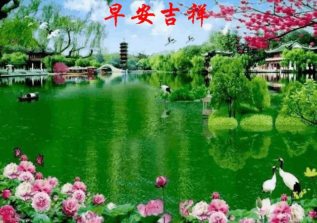 早安动感图片问候语大全,清晨最美丽早安祝福语动态图片