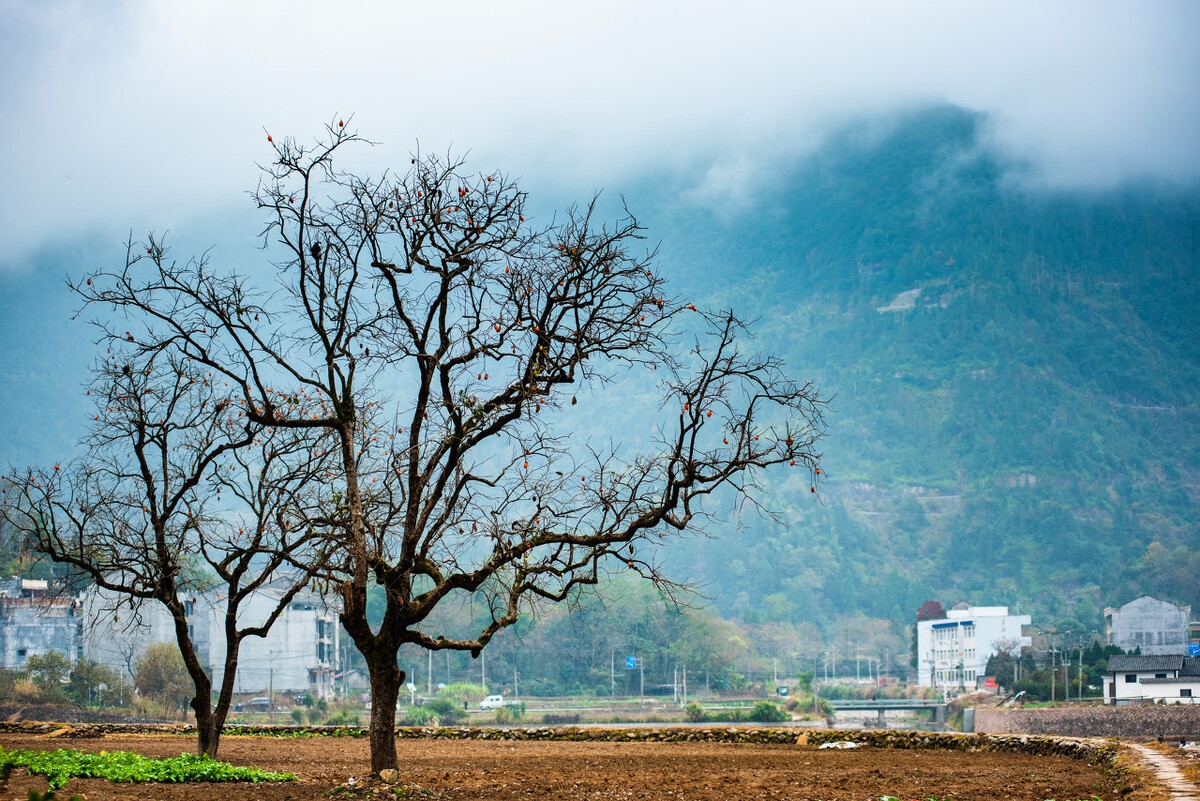 cnn评选的中国最美的30个地方,美国cnn评出中国40个最美丽的地方