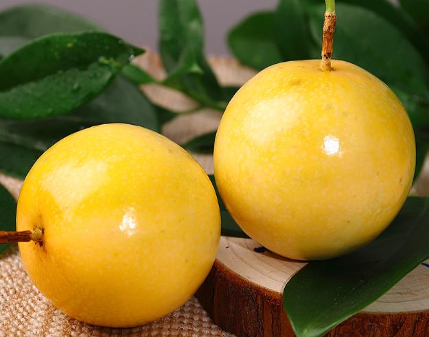 6鏈堝簲瀛g櫨棣欐灉,7鏈堜唤鍝鐧鹃鏋滄渶濂藉悆