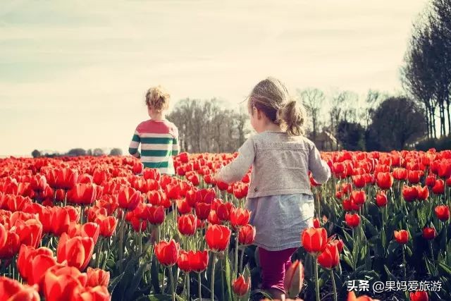 亲子游路线2-3天,湖北恩施亲子游攻略路线推荐