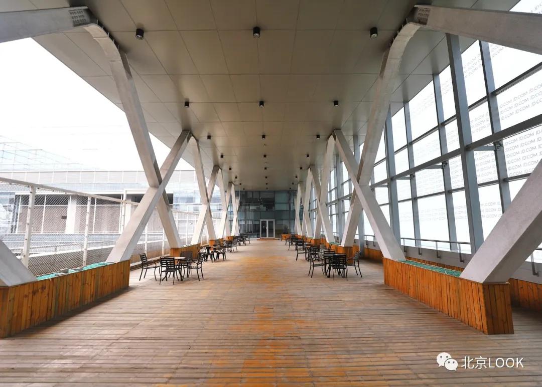 别人家的公司,别人家的公司还招人吗