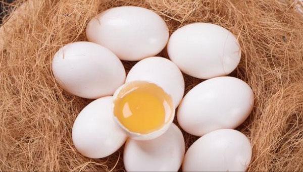 鸽子蛋和鹌鹑蛋的营养区别大吗,鹌鹑蛋和鸽子蛋哪个更好一些营养