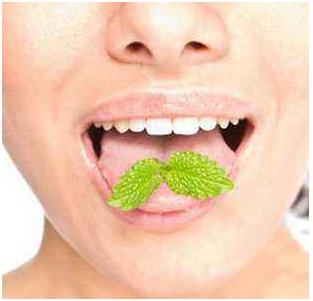 嘴里有异味怎么回事咋去除,嘴里有异味用什么方法能去除