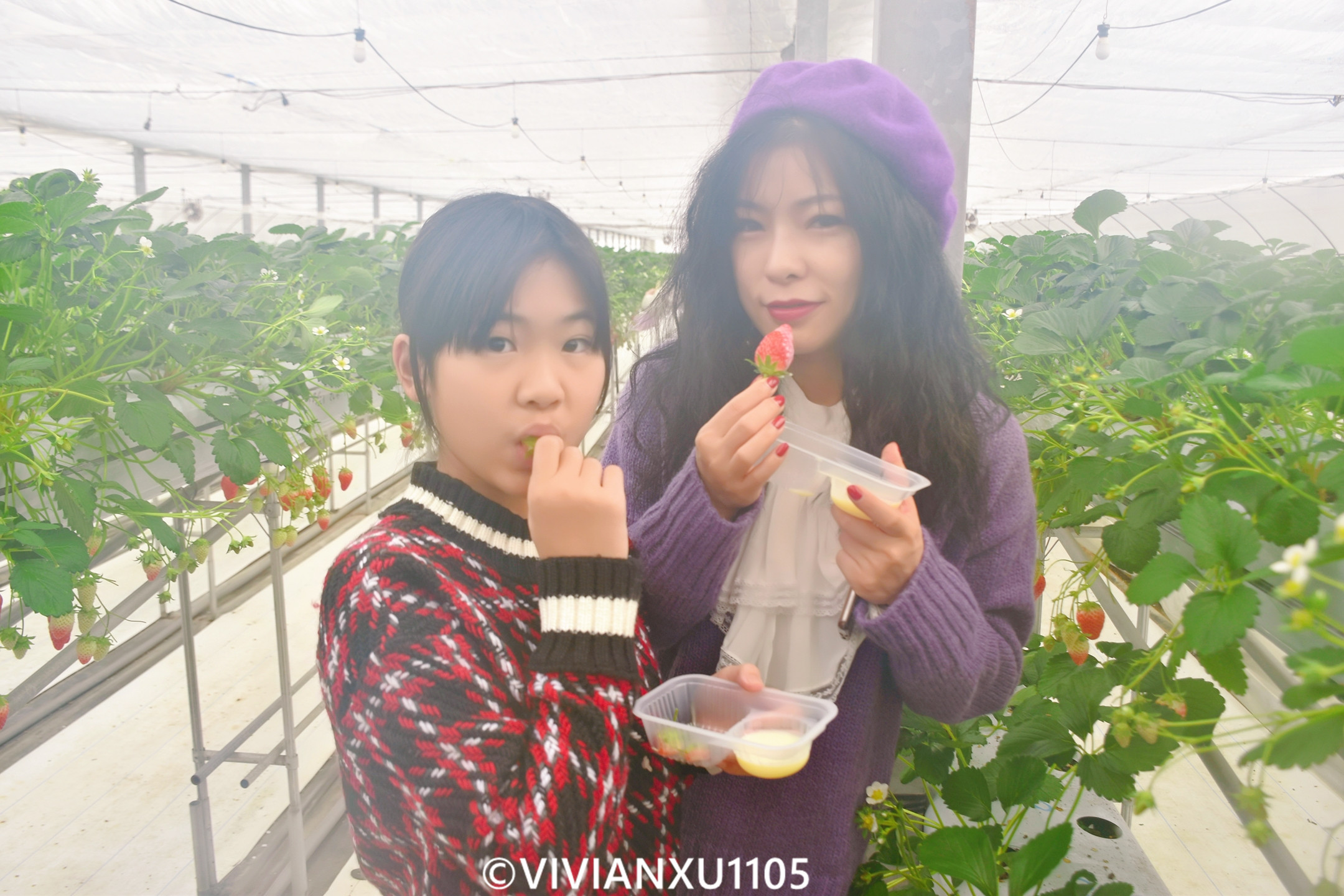 塑料母女日本东北深度游(秋田山形)