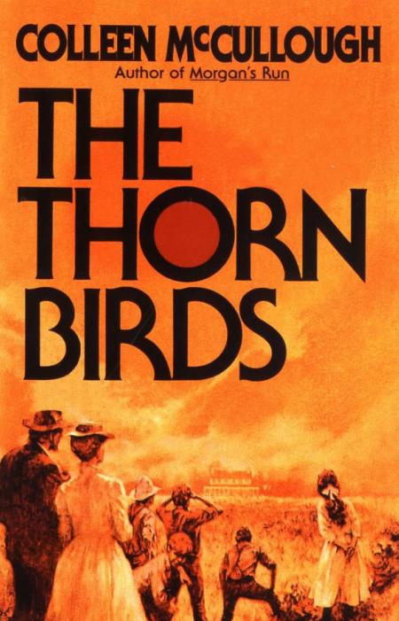 荆棘鸟推荐理由,thethornbird