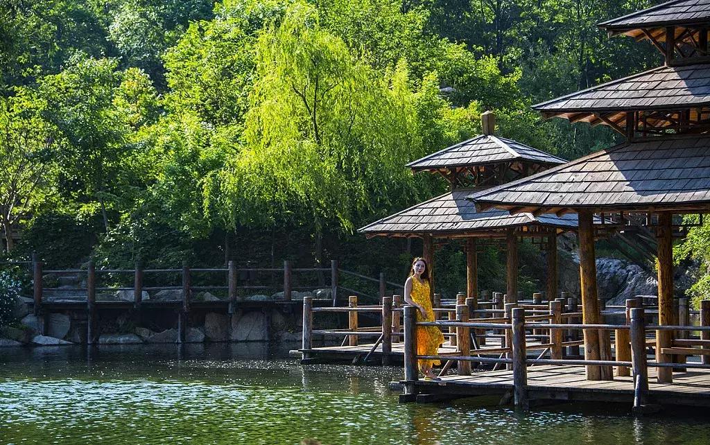 青岛人游台儿庄免费吗,青岛人看临沂