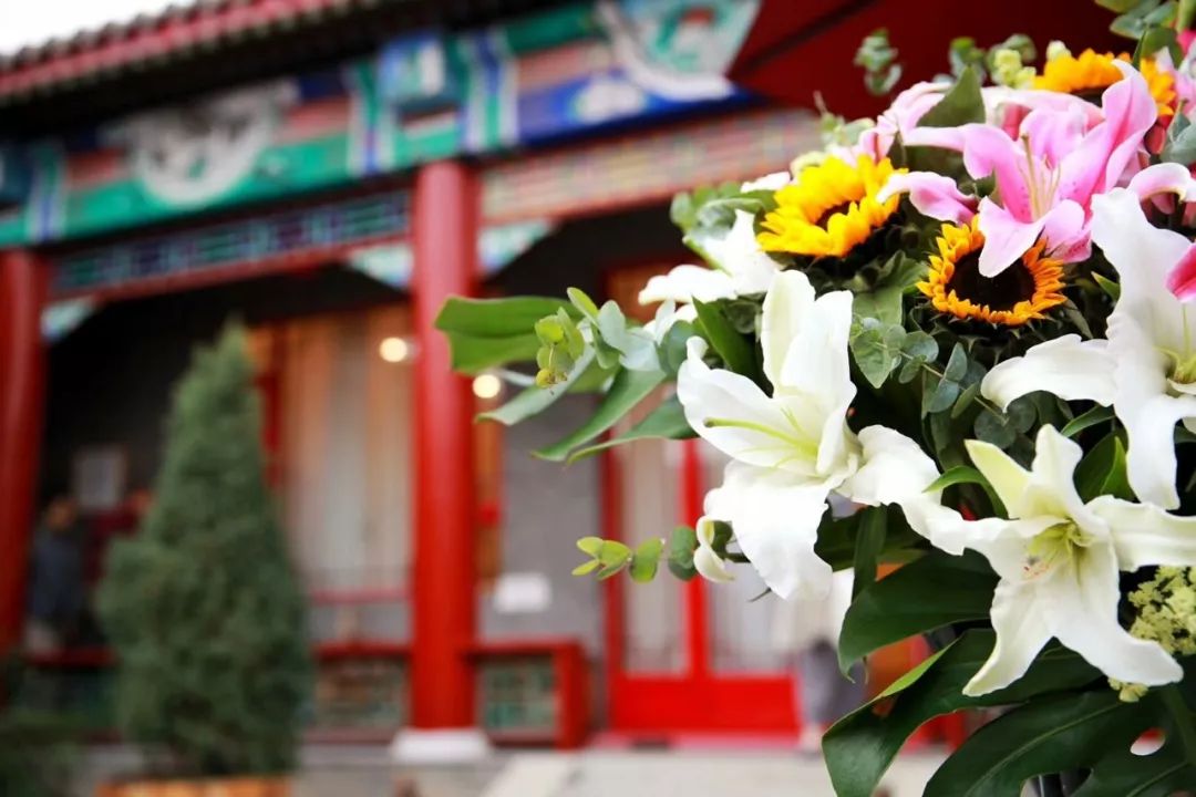 “双师妙谈奇录”——学医和学禅一样，学的都是智慧