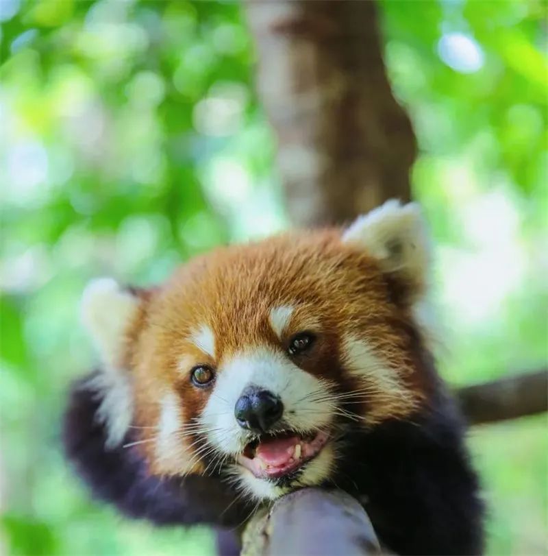 国庆中秋景区免费打折时间,中秋节10余景区40余项活动等你来