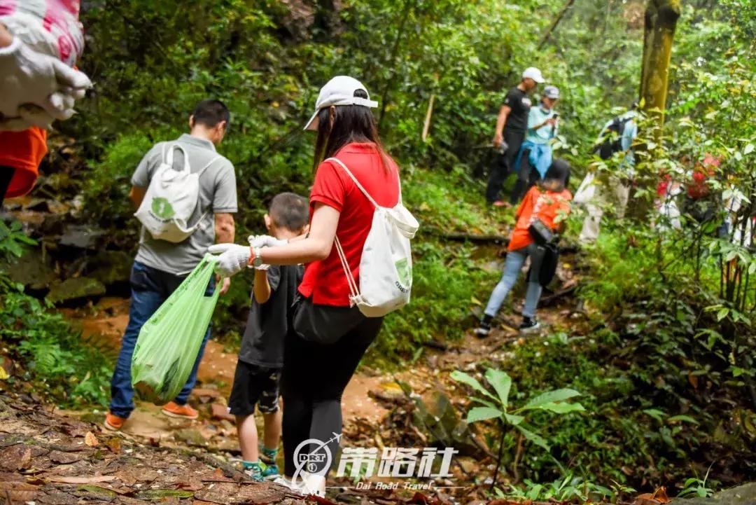 绿色环保行动实践活动总结,用行动践行绿色环保理念