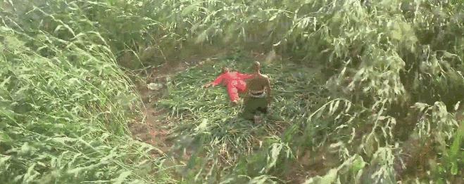 张艺谋给肖华的一封信,史可张艺谋事件