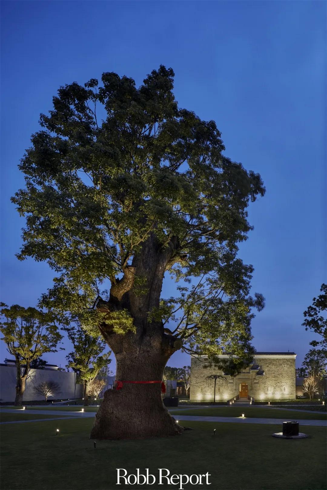 RR·FEATURE|寻找中国仙境：酒店人的徐霞客情怀