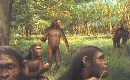 12万年前的人类脚印,200万年前就有人类足迹