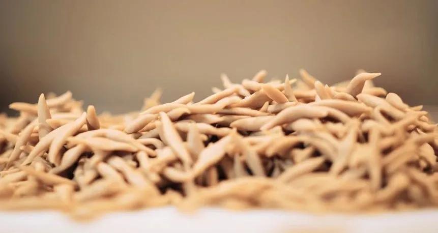 西贝哪些菜最好吃,西贝主要做哪些菜品