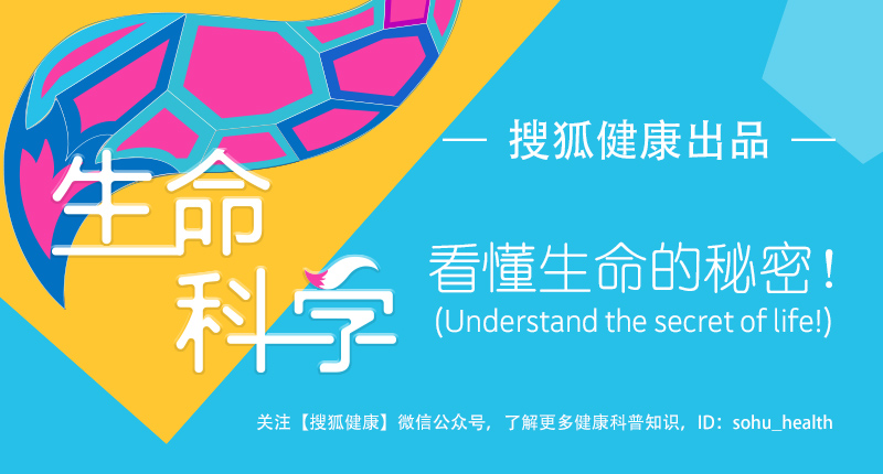 狐狸实验室|CGM测评:哪个更能提升控糖达标率?