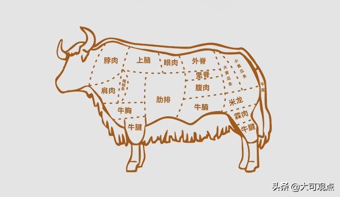 牦牛肉味道很重吃不惯,牦牛肉口感发酸什么原因
