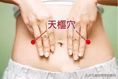 健康管理师需要哪些技巧,健康管理师基础知识100条