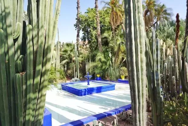 免签进一步扩大开放,免签后游客暴涨