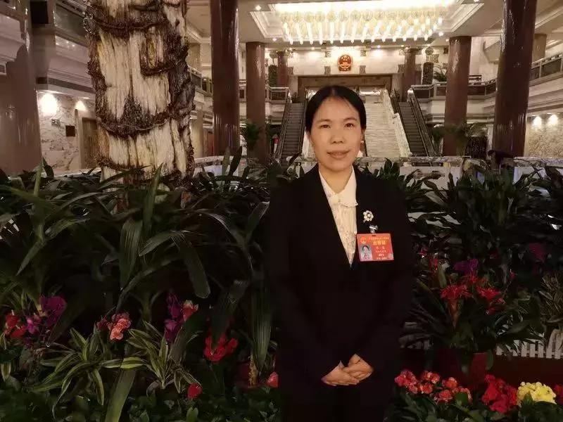 现在的大企业要的是哪些人才,哪些企业不招人