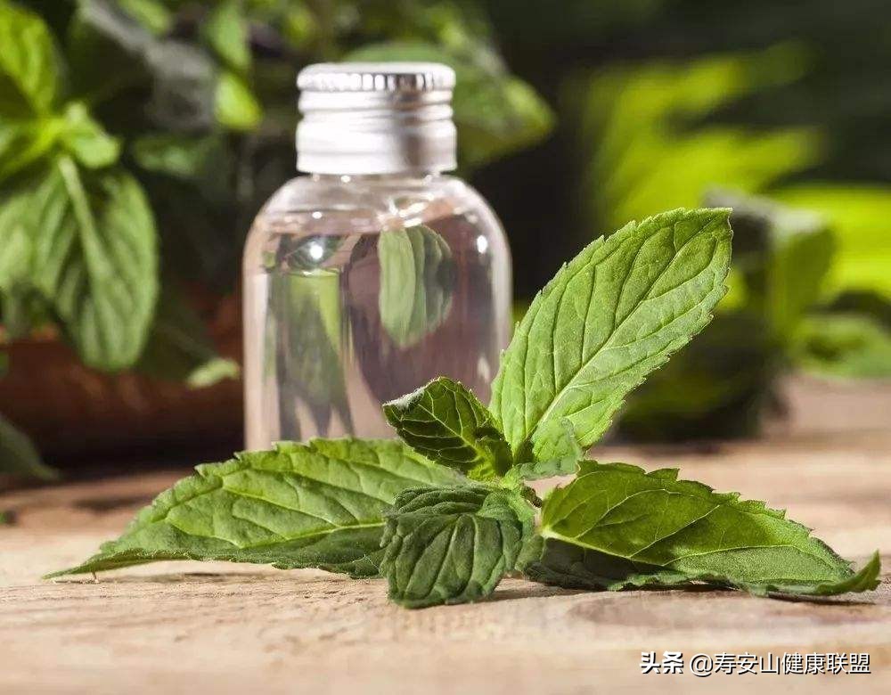薄荷精油可以止痒吗,薄荷精油的家用做法