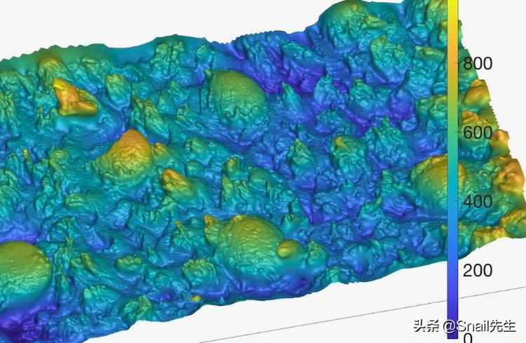 3D打印一个舌头如何？它有什么用呢？