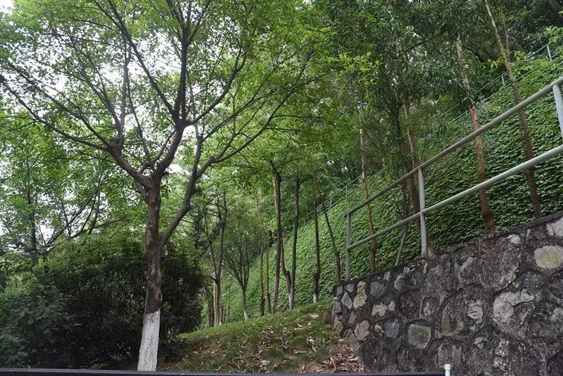 象贤中学，192岁生日快乐！