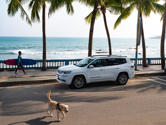 出行“不别扭”，大指挥官是你的好帮手