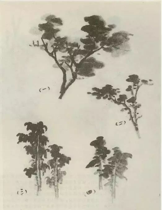 怎样画树画得好看,怎么画树最简单而且还最好看