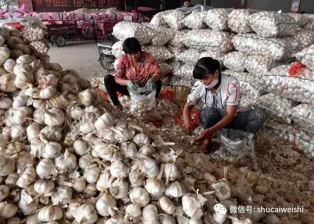 蒜你狠怎么处理的,蒜你狠真的可以喝吗