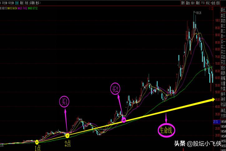 什么是生命线股票,股票生命线指标应用