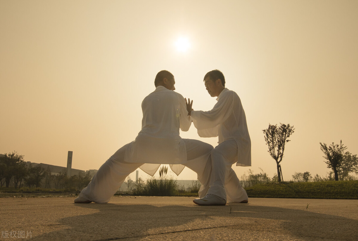 形意拳12形拳解说,形意拳内功篇原文