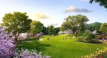 白云山新景,广州白云山开发理念及规划