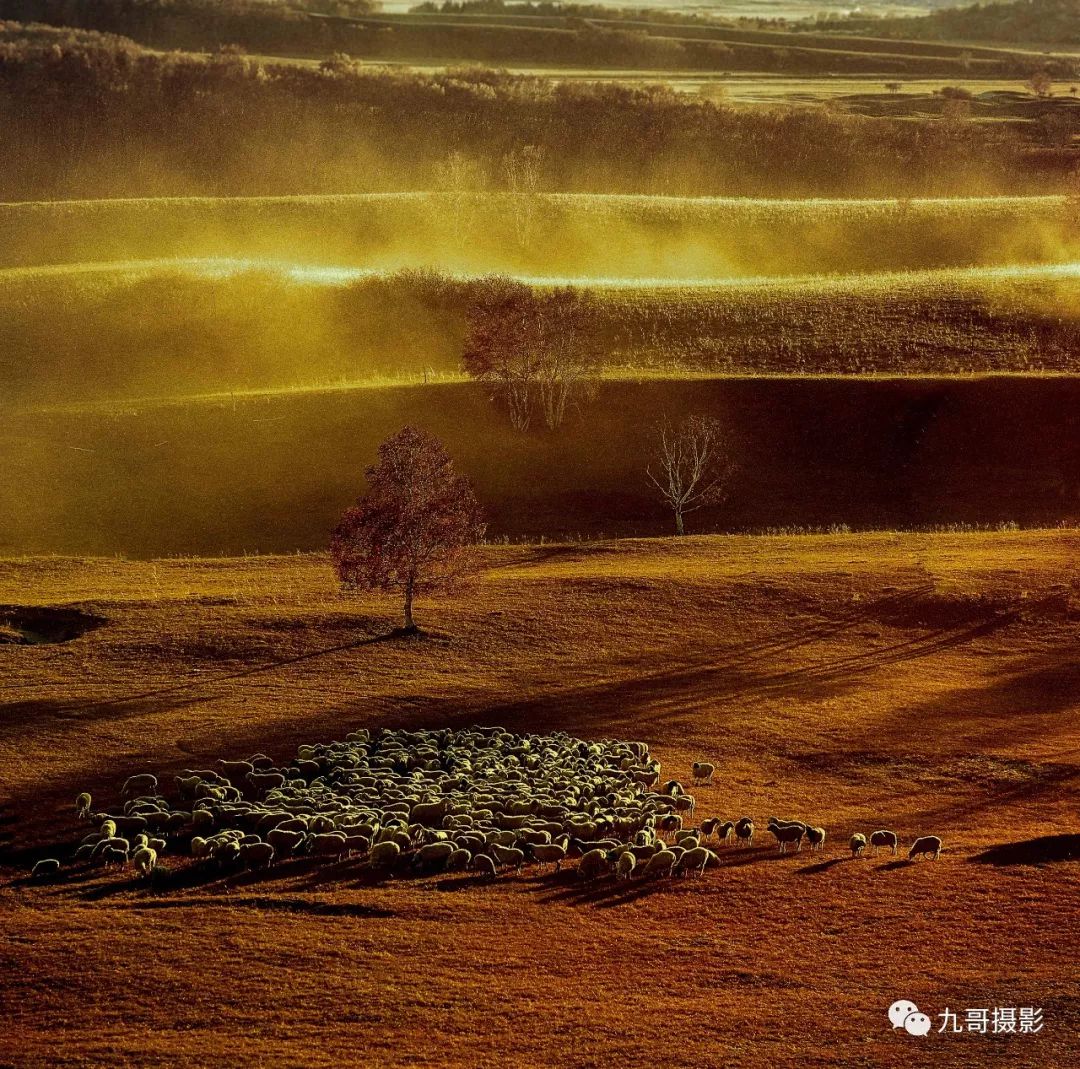 大美坝上草原全景,大美坝上风光系列之一