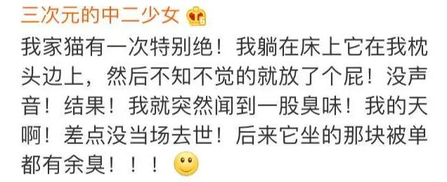 猫咪在床单上拉臭臭,猫咪上了厕所弄得家里很臭