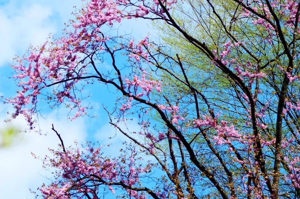 西安小众旅游,西安周边旅游3-4天攻略最佳线路