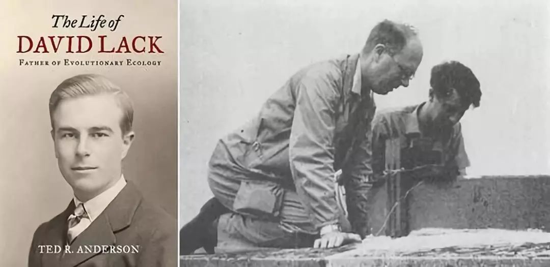 神秘的失落岛屿,失落的岛屿奇怪事