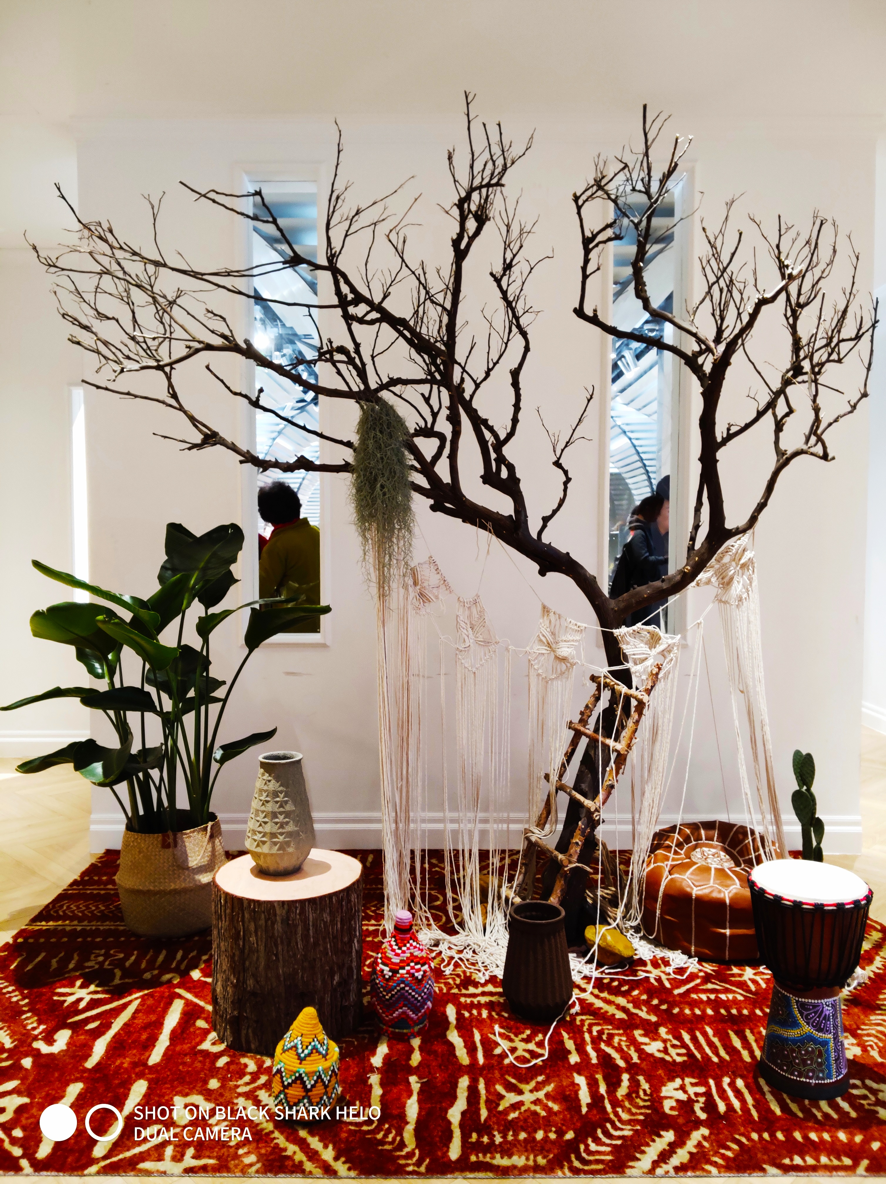 黑鲨游戏手机2.12.5,黑鲨游戏手机2代黑鲨helo